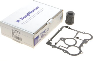 BorgWarner DS2006273