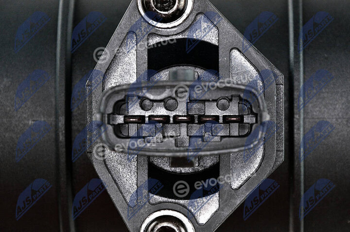 NTY EPP-PL-004