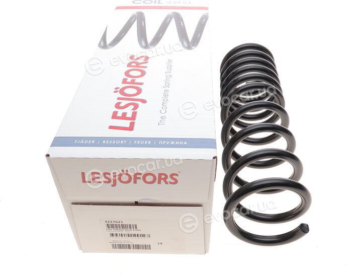 Lesjofors 4227621