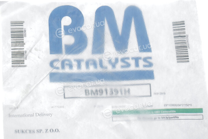 BM Catalysts BM91391H