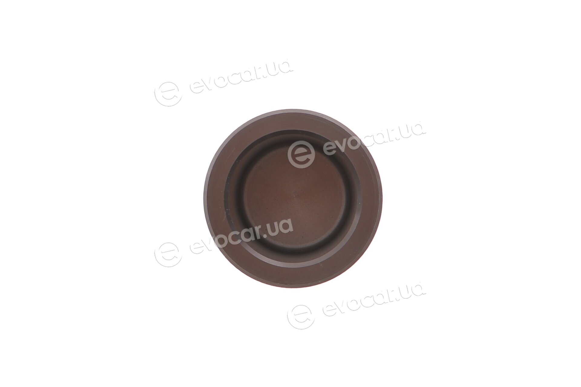 Frenkit P435502