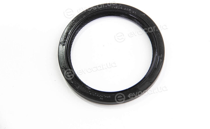 Elring 381.050