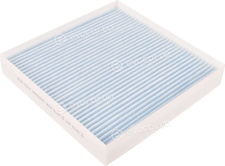 Blue Print ADG02598