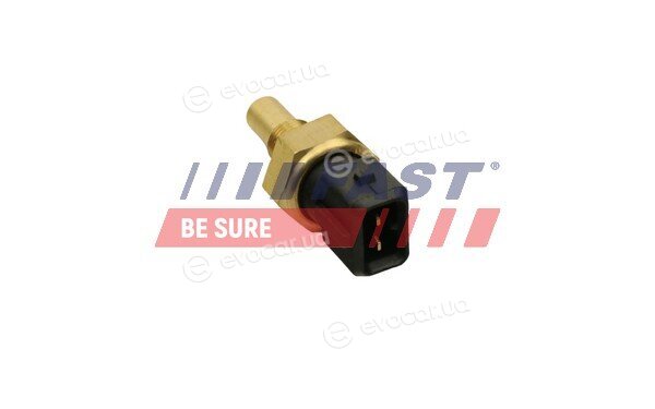 Fast FT80161
