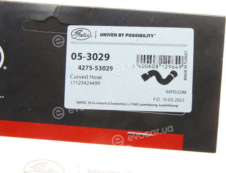 Gates 05-3029