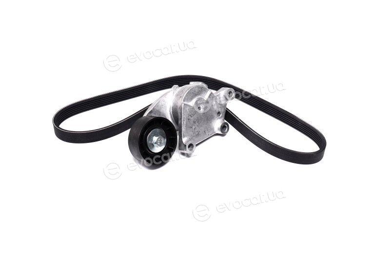 Continental 6PK976K1