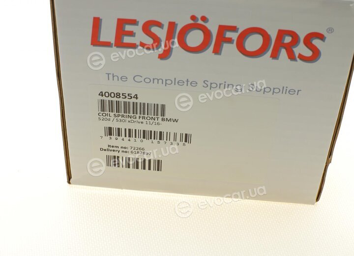 Lesjofors 4008554