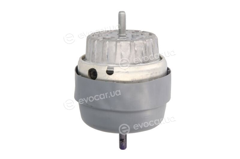 Reinhoch RH11-0099