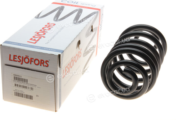 Lesjofors 4263511