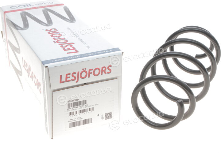 Lesjofors 4095080