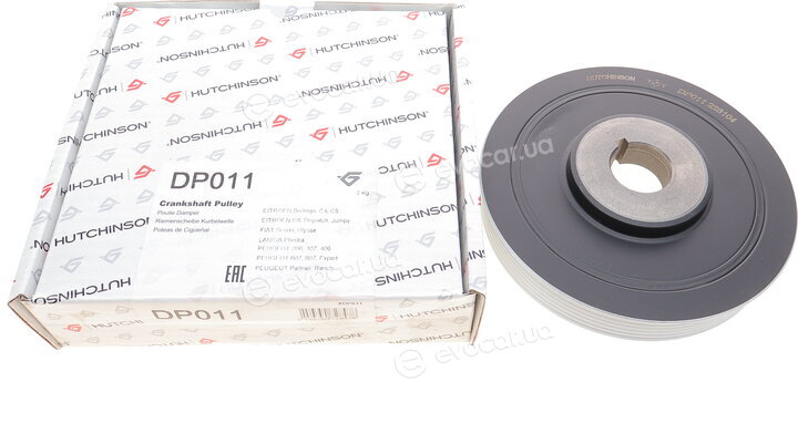 Hutchinson DP011