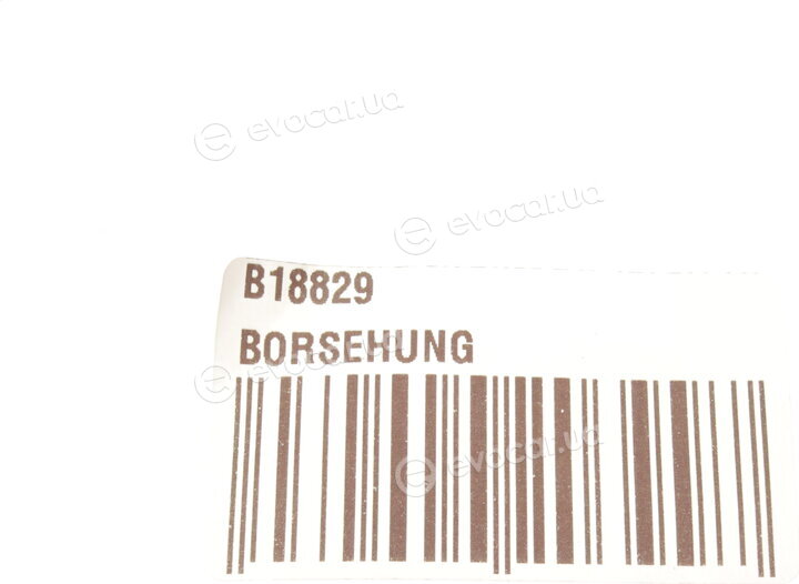 Borsehung B18829
