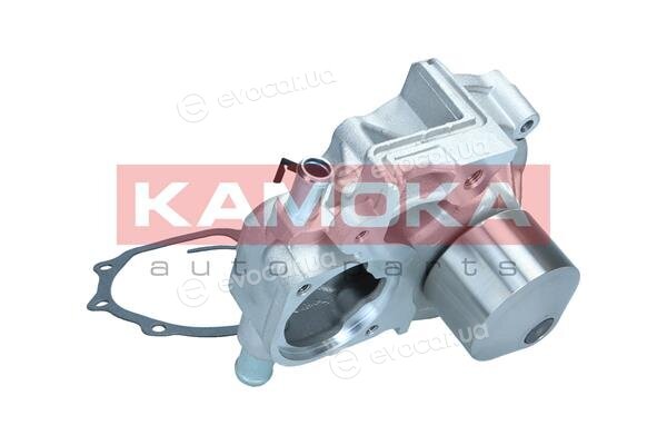 Kamoka T0313