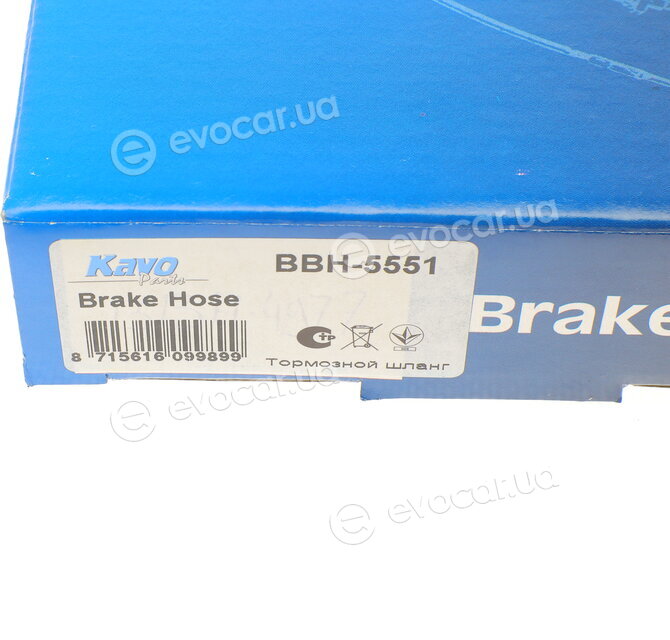 Kavo BBH-5551