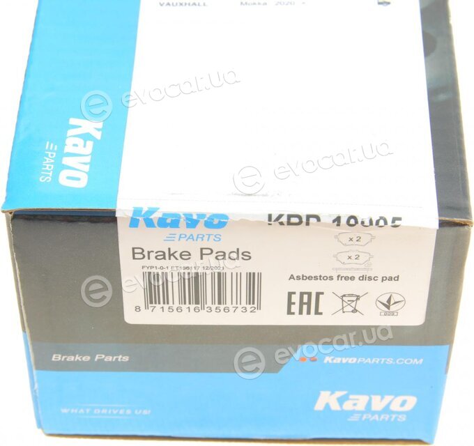 Kavo KBP-10005