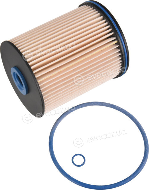 Blue Print ADBP230024