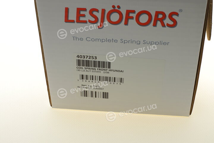 Lesjofors 4037253