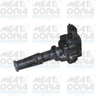 Meat & Doria 10507