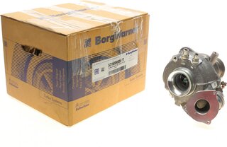 BorgWarner 53169980077