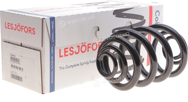 Lesjofors 5208450