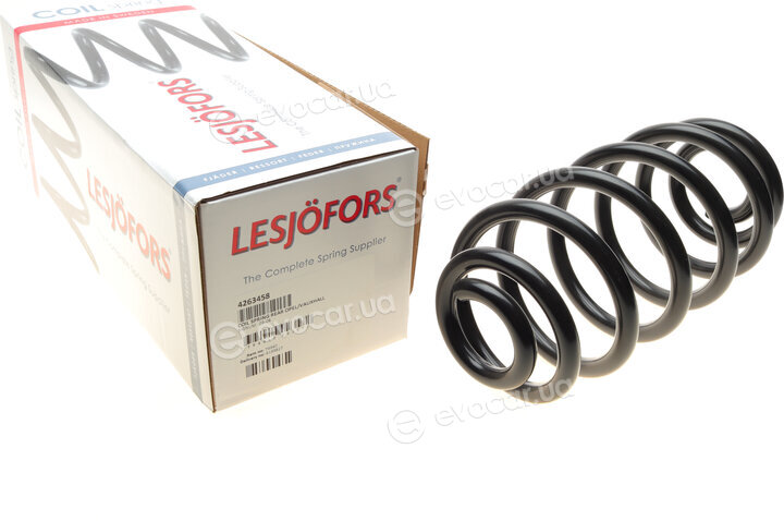 Lesjofors 4263458