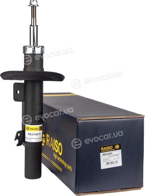 Raiso RS313673