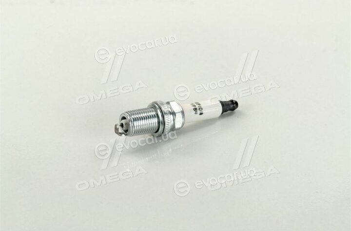 Champion OE146/T10
