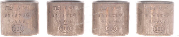 Mahle 039 BS 18761 300