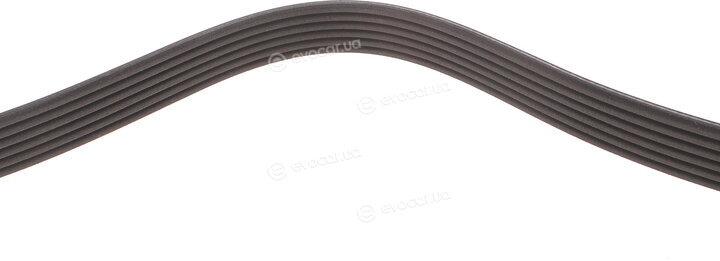 Dayco 6PK2504