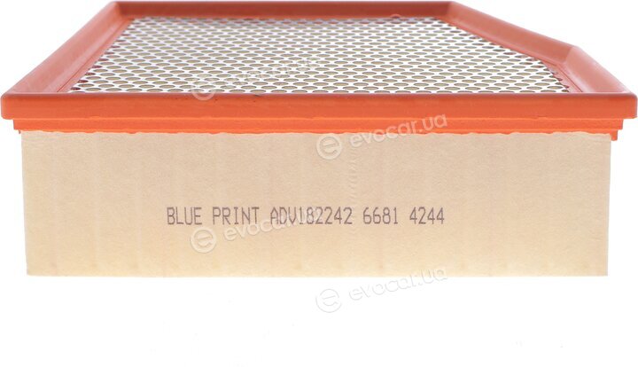Blue Print ADV182242
