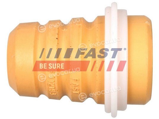 Fast FT12193