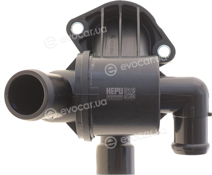 Hepu TM1137
