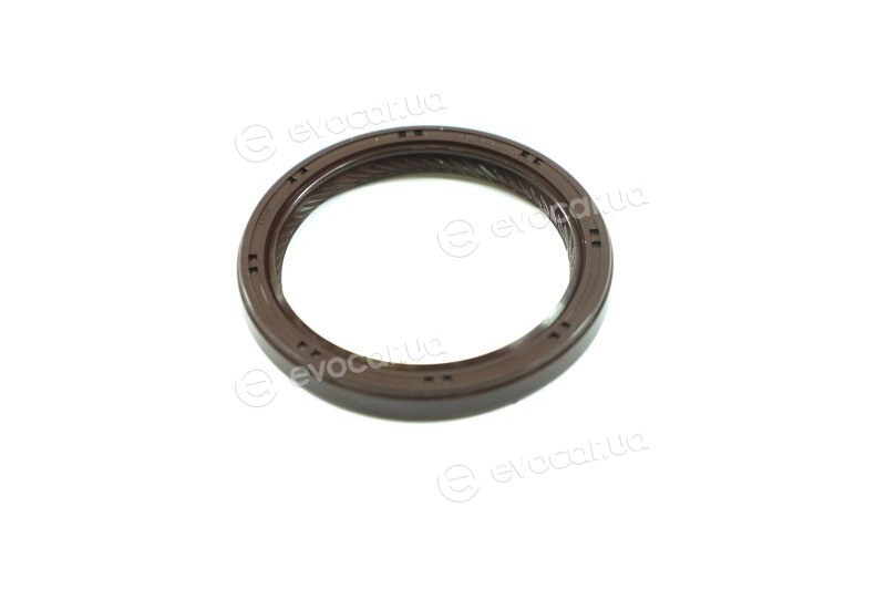 Elring 576.160