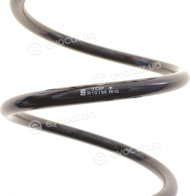 Eibach R10196