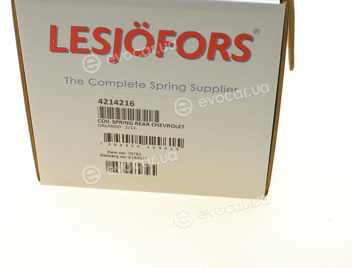 Lesjofors 4214216