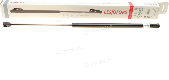 Lesjofors 8166762