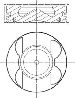 Mahle 001 PI 00107 000