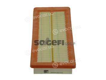 Coopers Fiaam PA7584
