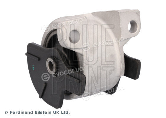 Blue Print ADBP800568