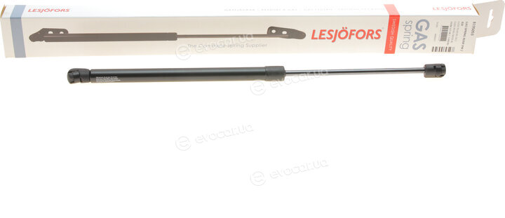 Lesjofors 8195053