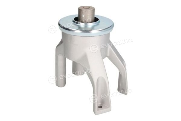 Reinhoch RH11-0126