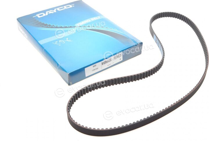 Dayco 94491