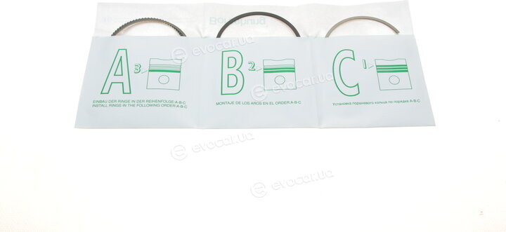 Borsehung B19041
