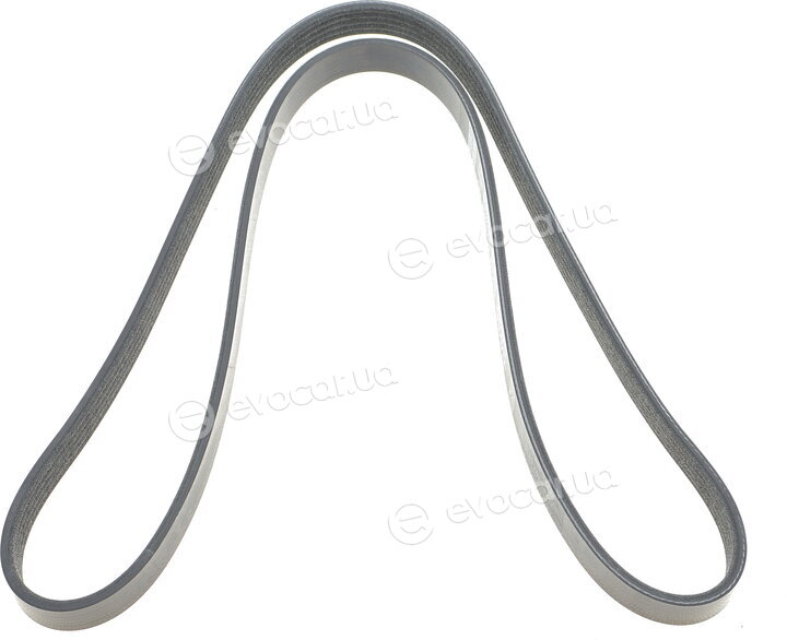 Dayco 5PK1240S