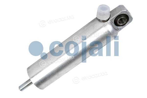 Cojali 2301205