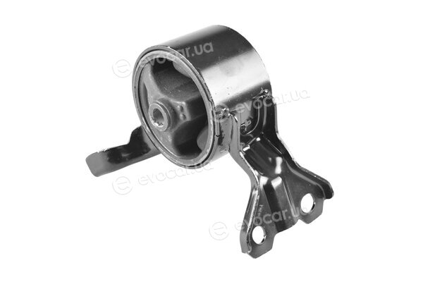 Tedgum TED97574
