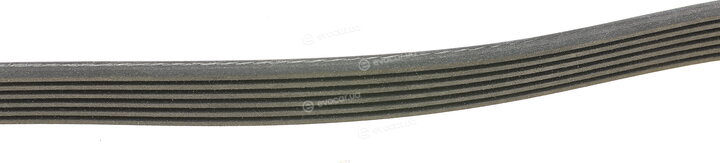 INA FB 6PK923