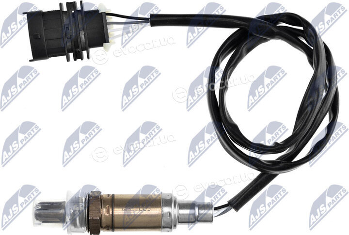 NTY ESL-PL-003