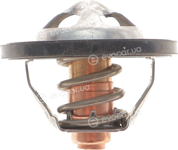 Motorad 513-82K