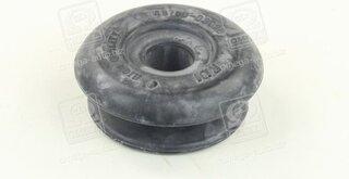 RBI T13Z121EB